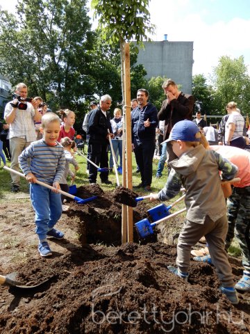 Életfát ültettünk 21